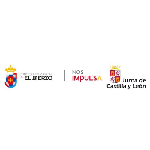 consejo-comarcal del Bierzo